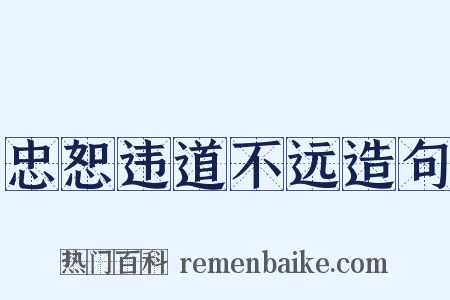 忠恕违道不远造句是什么意思的图片
